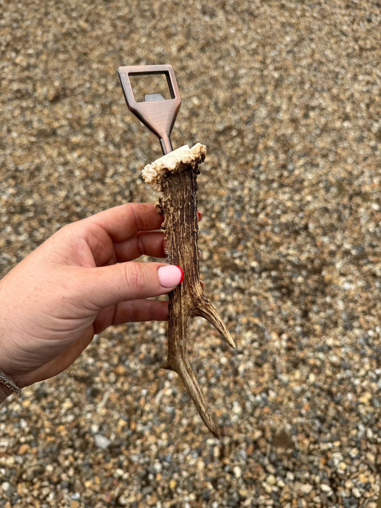 Antler Bottle Opener