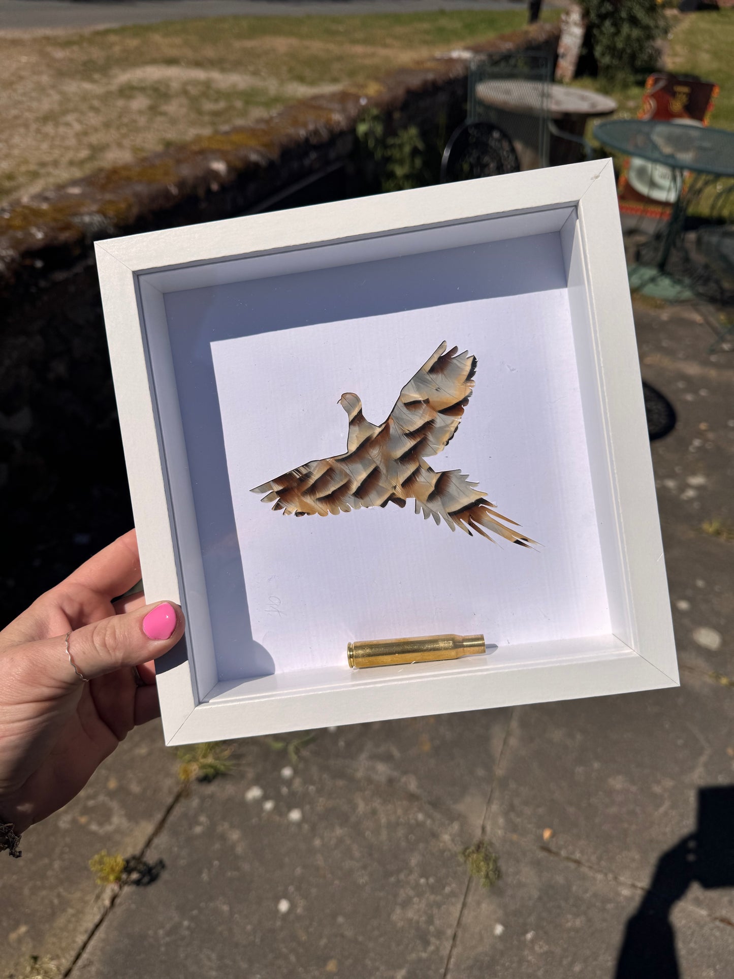 Feathered Silhouette Frames