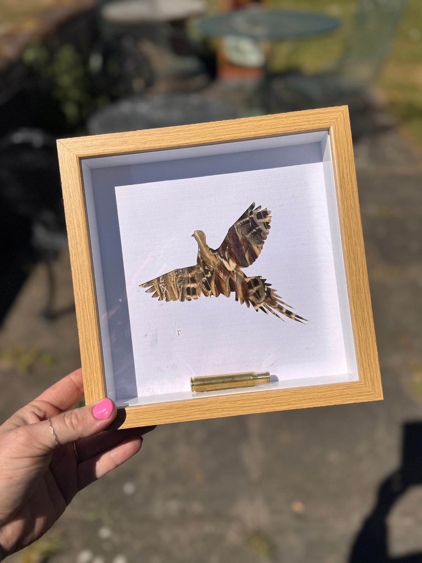 Feathered Silhouette Frames