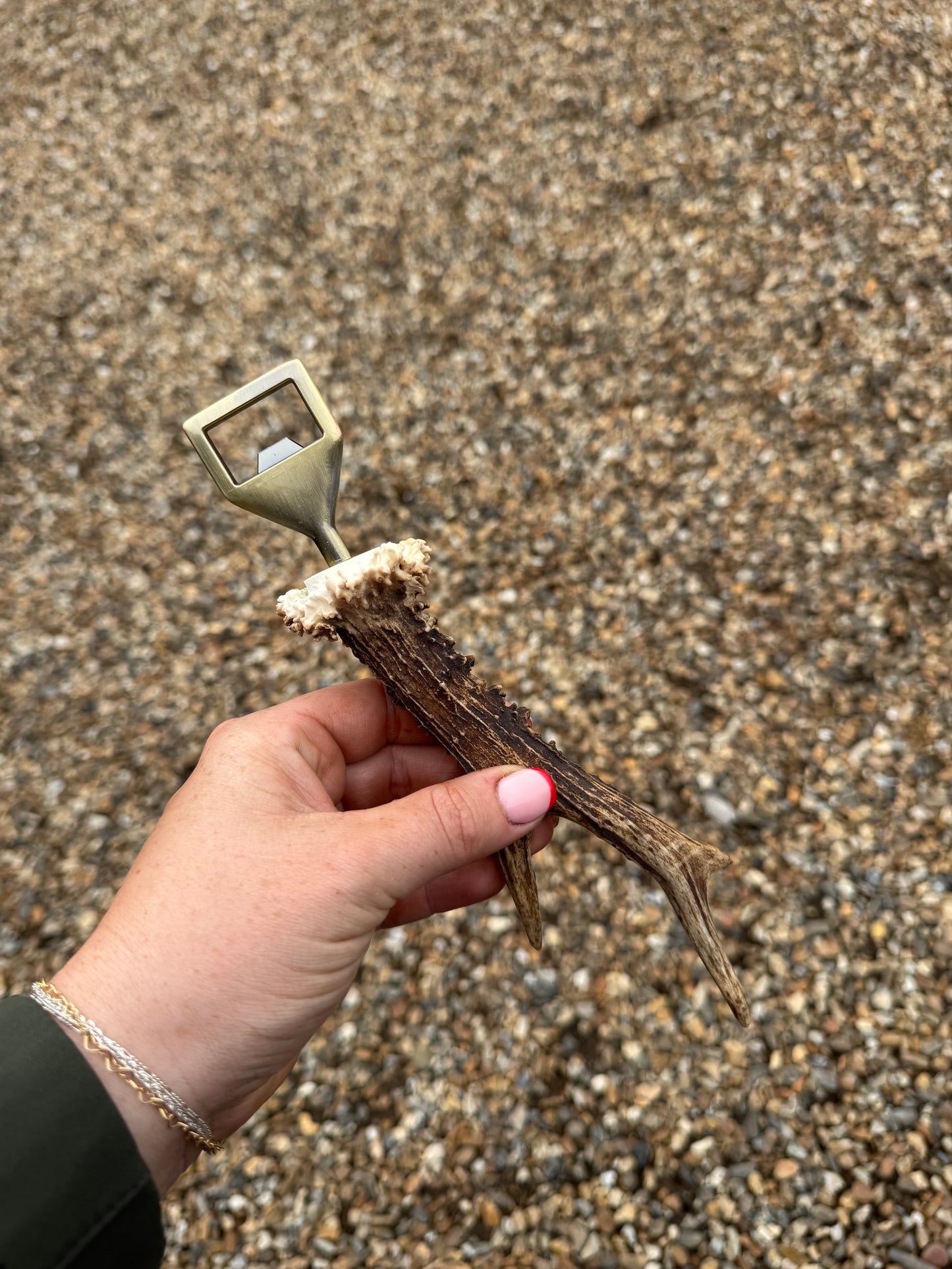 Antler Bottle Opener