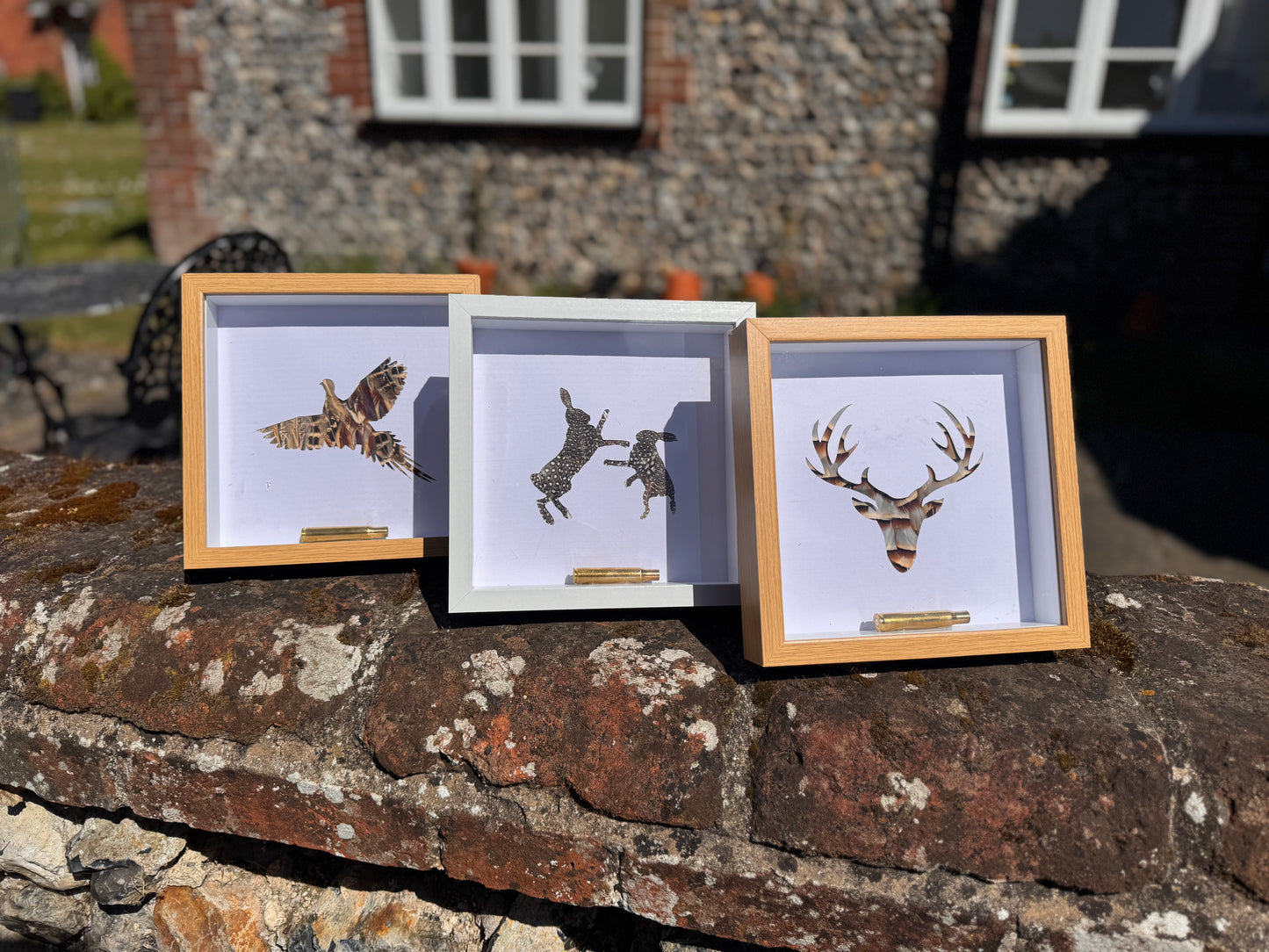 Feathered Silhouette Frames