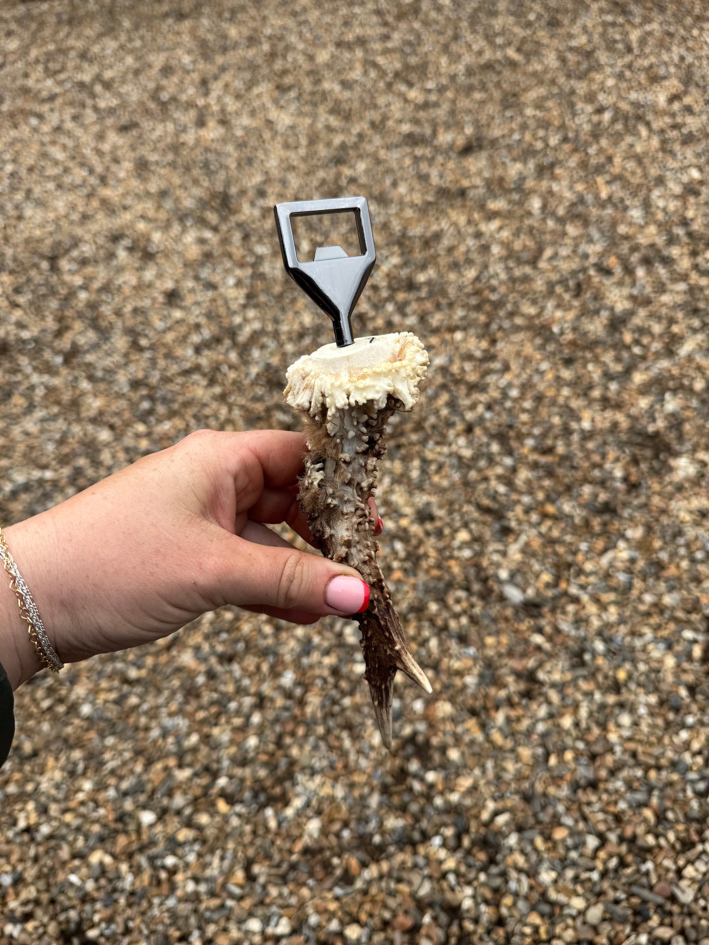 Antler Bottle Opener