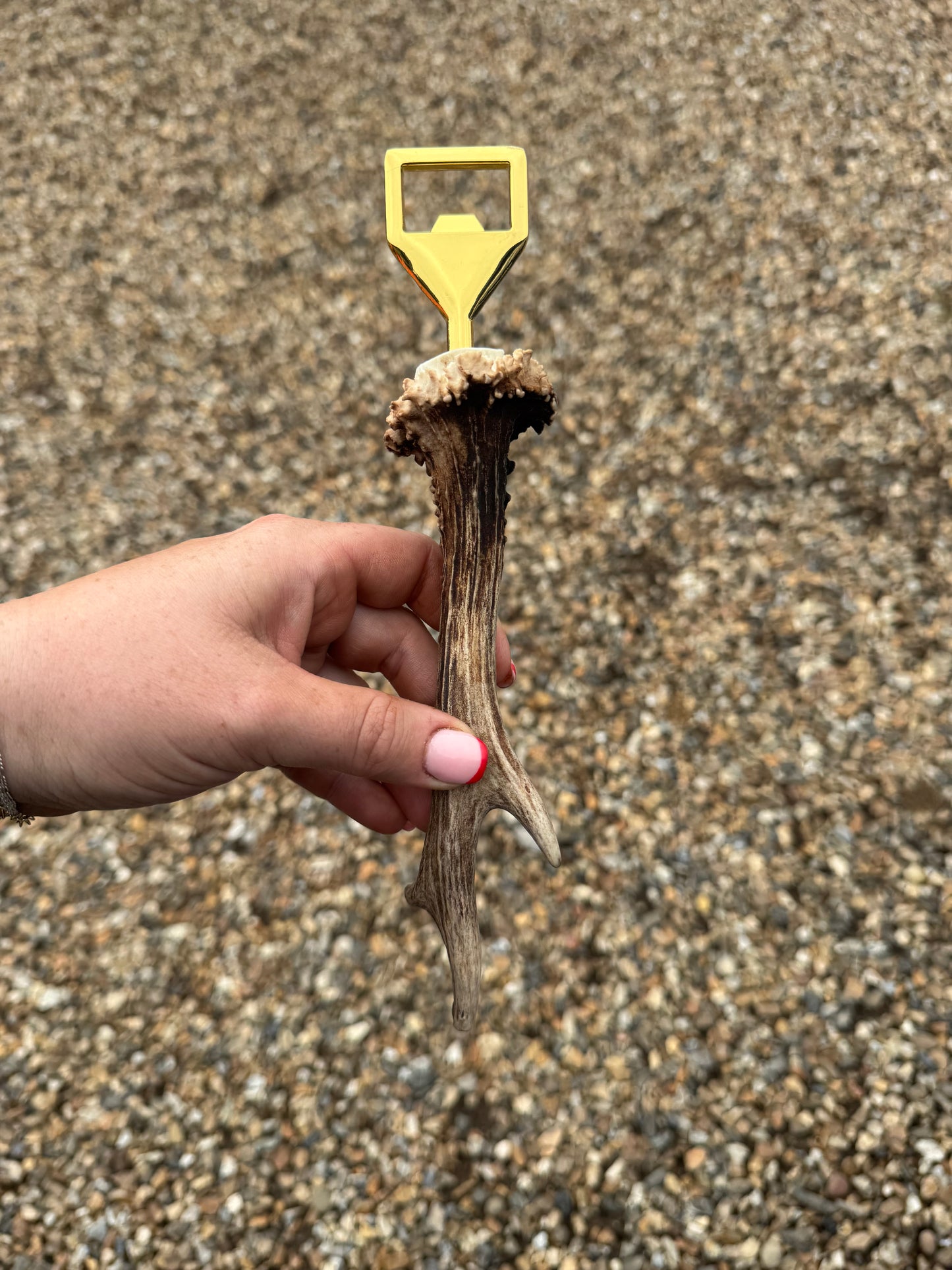 Antler Bottle Opener