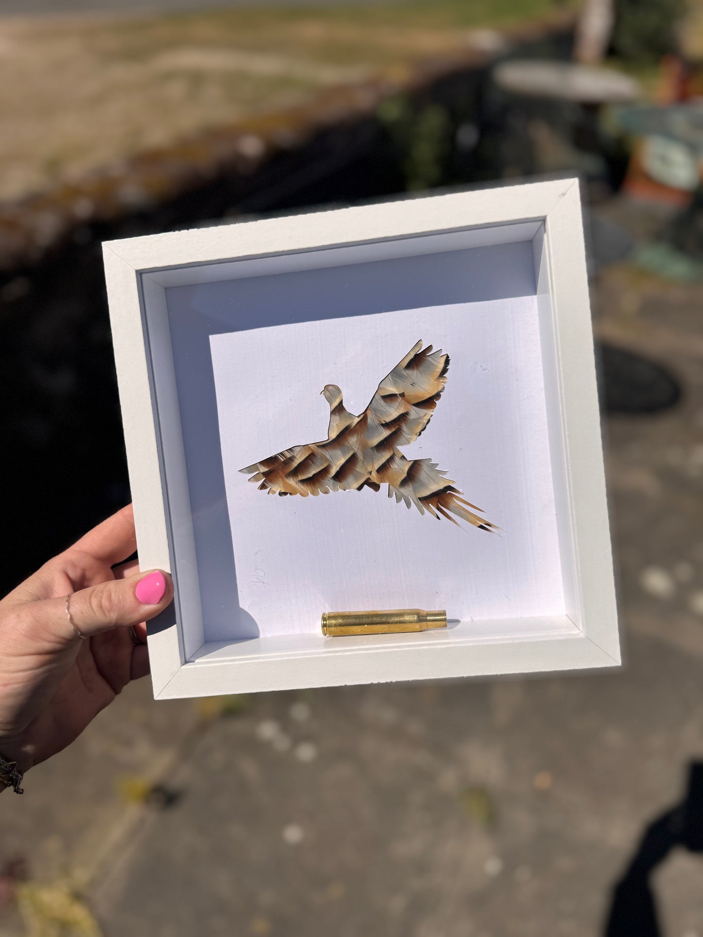 Feathered Silhouette Frames