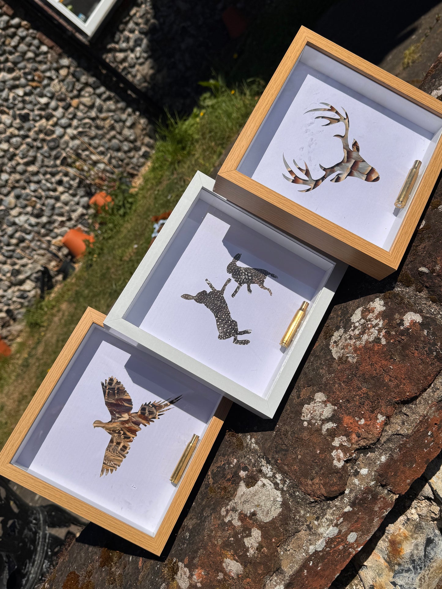 Feathered Silhouette Frames