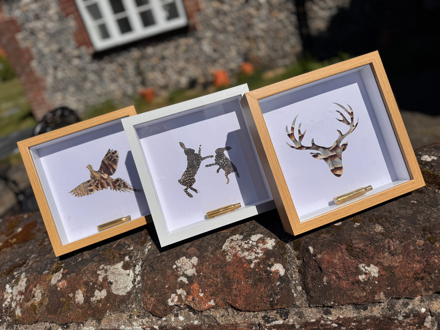 Feathered Silhouette Frames