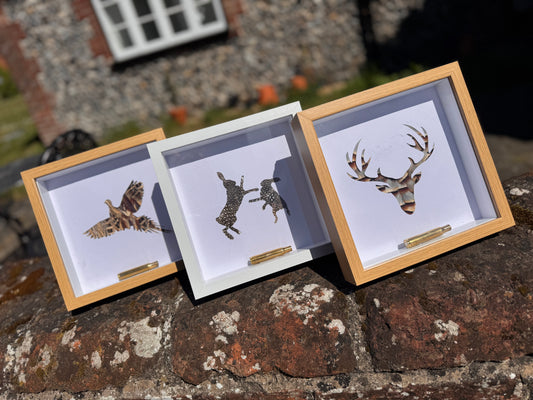 Feathered Silhouette Frames