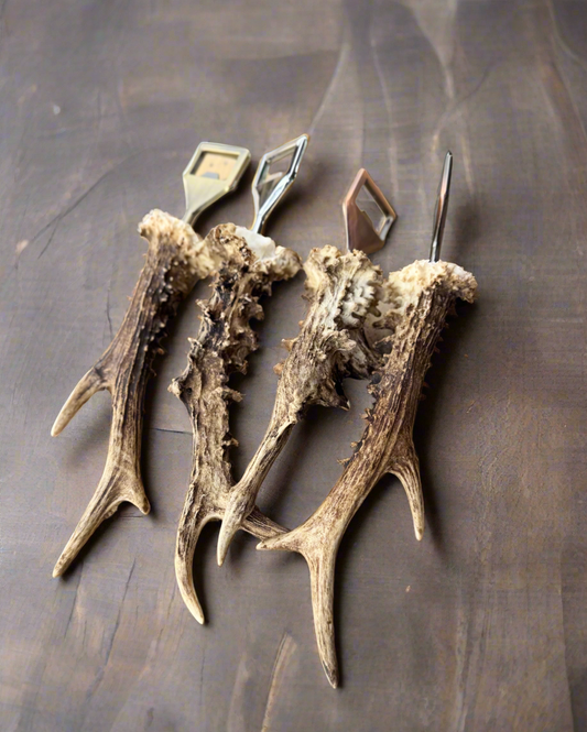 Antler Bottle Opener