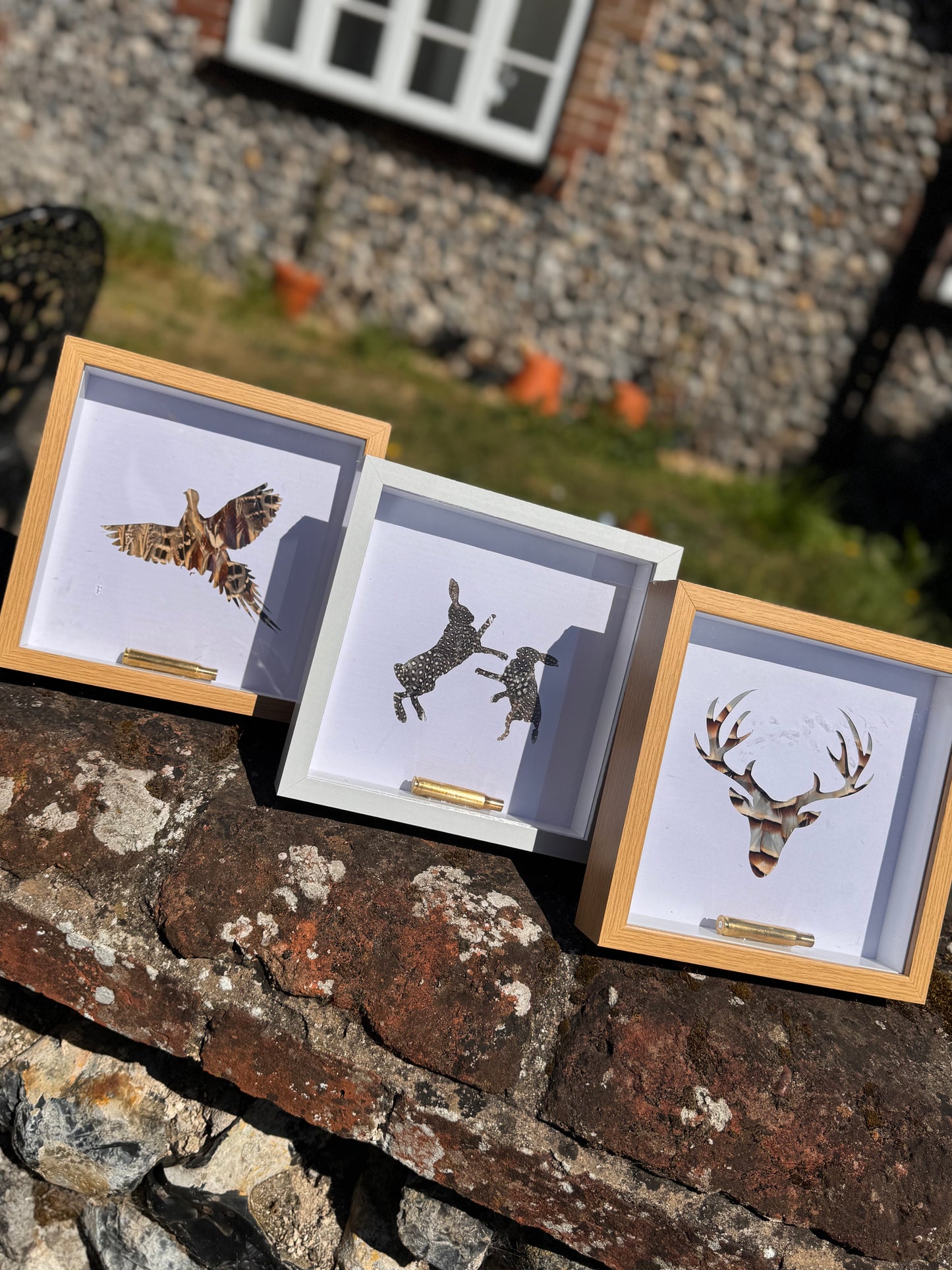 Feathered Silhouette Frames