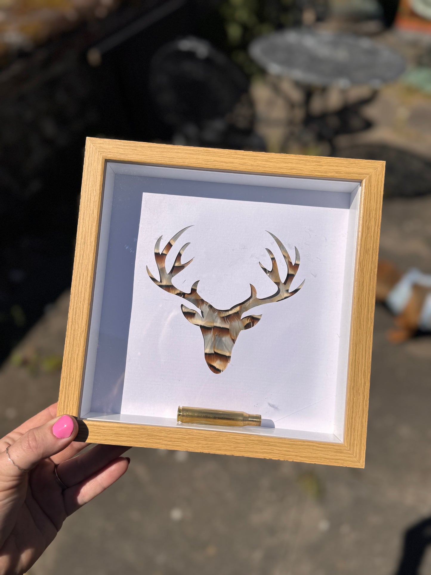 Feathered Silhouette Frames